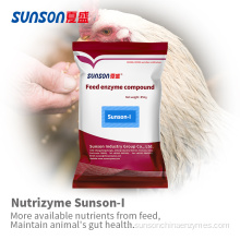 Enzymes digestives complexes de qualité alimentaire pour animal Sunson-i